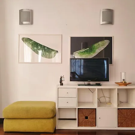 Comfy 2-Room Condo Downtown Apartment